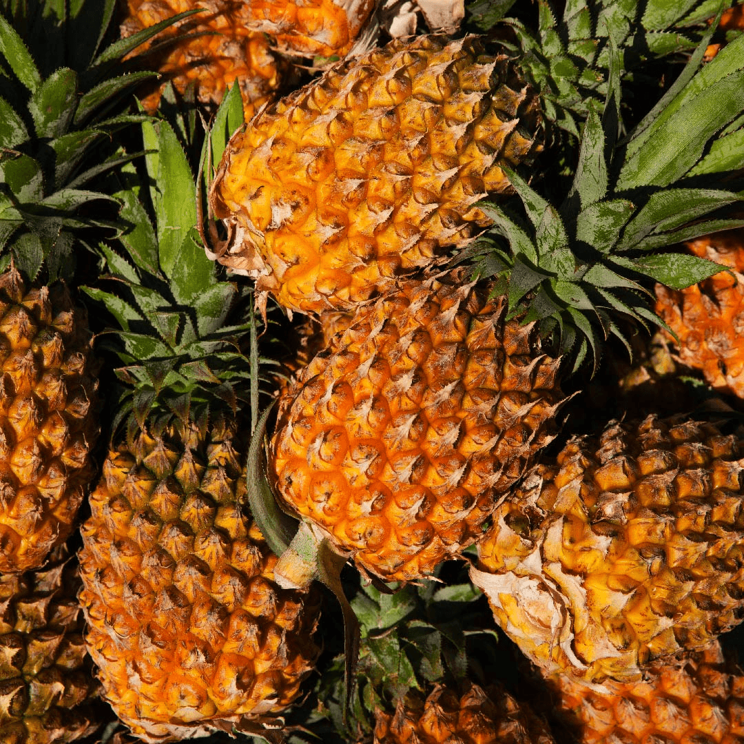 Pineapple image