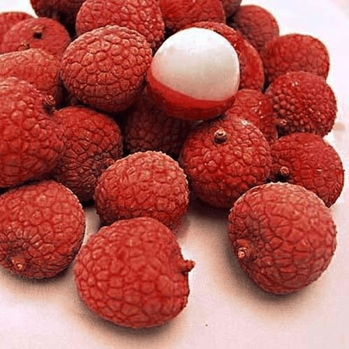 Litchi image